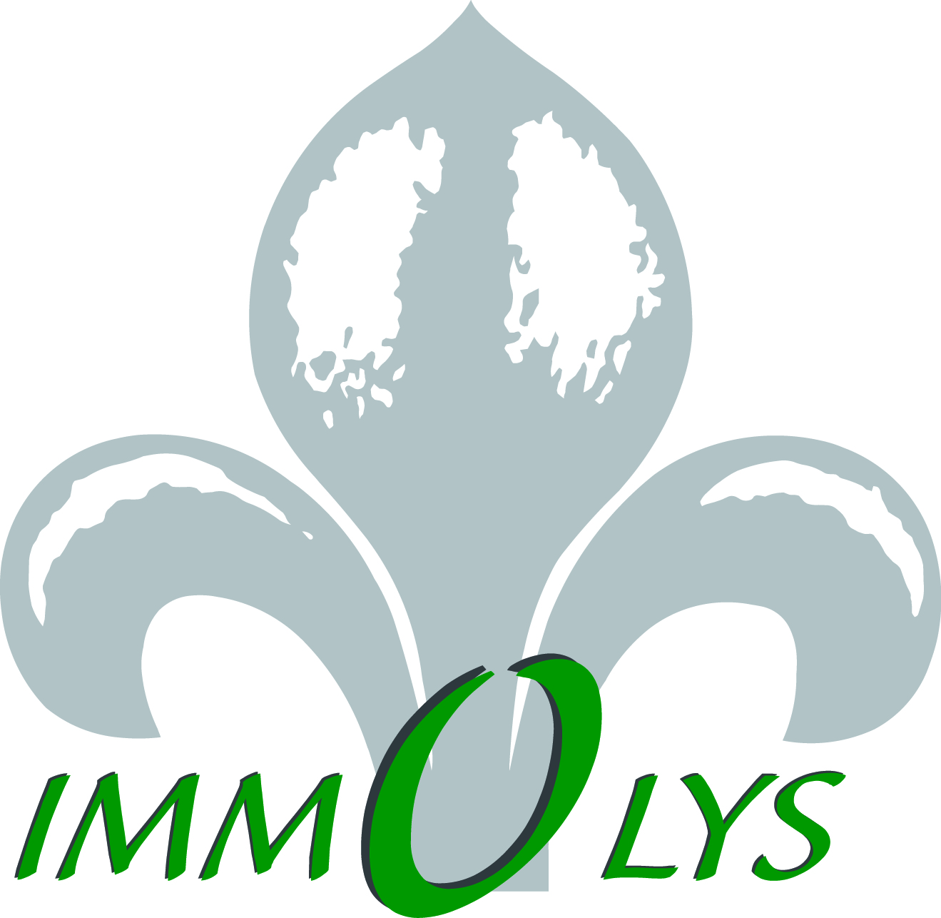 Immolys