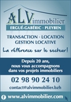 Alv Immobilier