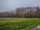 vente terrain   VARENNES CHANGY 30 000€ 