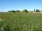 vente terrain   VILLEVOQUES 35 200€ 