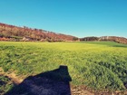 vente terrain   ARQUES LA BATAILLE 58 900€ 