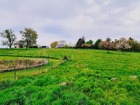 vente terrain   MESNIL RAOUL 65 000€ 