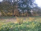 vente terrain   SOTTEVILLE SUR MER 39 000€ 
