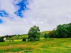 vente terrain   IGOVILLE 92 000€ 