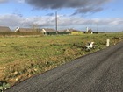 vente terrain   NOTRE DAME D'OE 92 300€ 