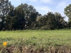 vente terrain   Saint-Vaast-en-Chaussée 67 900€ 