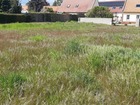 vente terrain   BOVELLES 86 500€ 