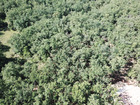 vente terrain   Labastide de virac  110 000€ 