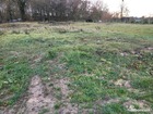 vente terrain   NAOURS 79 000€ 