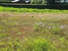 vente terrain   VAUCHELLES LES QUESNOY 44 000€ 