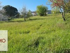 vente terrain   Lezat sur leze  135 225€ 