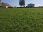 vente agricole   LA BAROCHE SOUS LUCE 9 750€ 