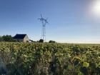vente terrain   COUESMES  128 000€ 