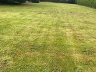 vente terrain   St cast le guildo  522 500€ 