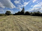 vente terrain   STE SABINE BORN 25 000€ 