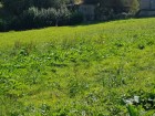 vente terrain   ANCEAUMEVILLE 55 900€ 