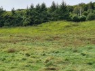 vente terrain   Saint-Martin-du-Vivier  111 500€ 