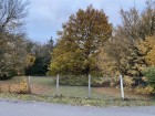 vente terrain neuf  COURGENT 94 500€ 