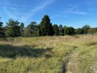 vente terrain neuf  MENESTREAU EN VILLETTE 52 000€ 