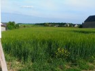 vente terrain neuf  BACCON 52 900€ 