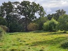 vente terrain   St germain sur ille  181 131€ 