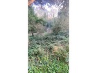 vente terrain   St cast le guildo  293 440€ 