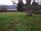 vente terrain neuf  MONTVILLE 92 000€ 