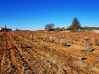 vente terrain   Orgnac l aven  168 000€ 