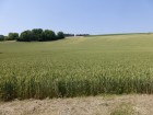 vente agricole   BURY 71 000€ 