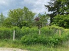 vente terrain neuf  DARVOY  102 900€ 