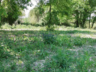 vente terrain   Saint-Sulpice-et-Cameyrac  233 000€ 