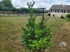 vente maison/villa  T5 Fleury-les-Aubrais  314 900€ 