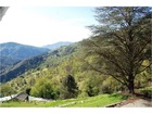 vente maison  T10 LE COLLET DE DEZE  525 000€ 