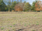 vente terrain   Rion des landes 77 220€ 