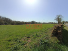 vente terrain   Saint vincent sterlanges  174 100€ 