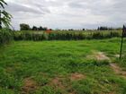 vente maison/villa  T5 SAINTES-MARIES-DE-LA-MER  355 000€ 