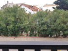 vente appartement  T2 SAINTES-MARIES-DE-LA-MER  157 500€ 