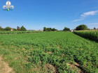 vente terrain   CHARNAY LES CHALON 32 000€ 