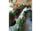 vente Appartement  T4 Livron-sur-Drôme 81 768€ 