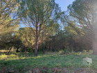 vente terrain   Caveirac  130 000€ 