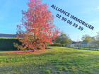 vente terrain   Saint meen le grand 55 000€ 