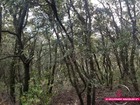 vente Terrain non constructible   OCTON 15 000€ 