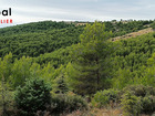 vente terrain   Crillon-le-Brave 35 500€ 