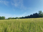 vente terrain   Cazeres 39 360€ 