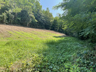 vente terrain   Chazey-Bons 82 000€ 