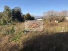 vente terrain   Calenzana  378 000€ 