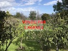 vente maison  T6 Calenzana  385 000€ 