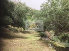 vente terrain   Montegrosso  347 000€ 