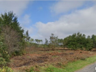 vente terrain   Saint-Médard-en-Jalles  249 900€ 