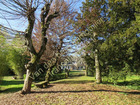 vente maison/villa  T17 Objat  450 000€ 